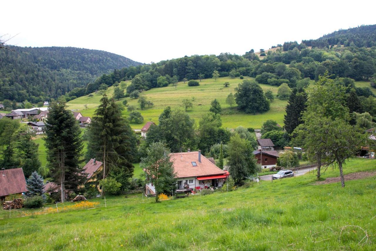 Gite Chez Mimie Breitenbach-Haut-Rhin Exterior foto